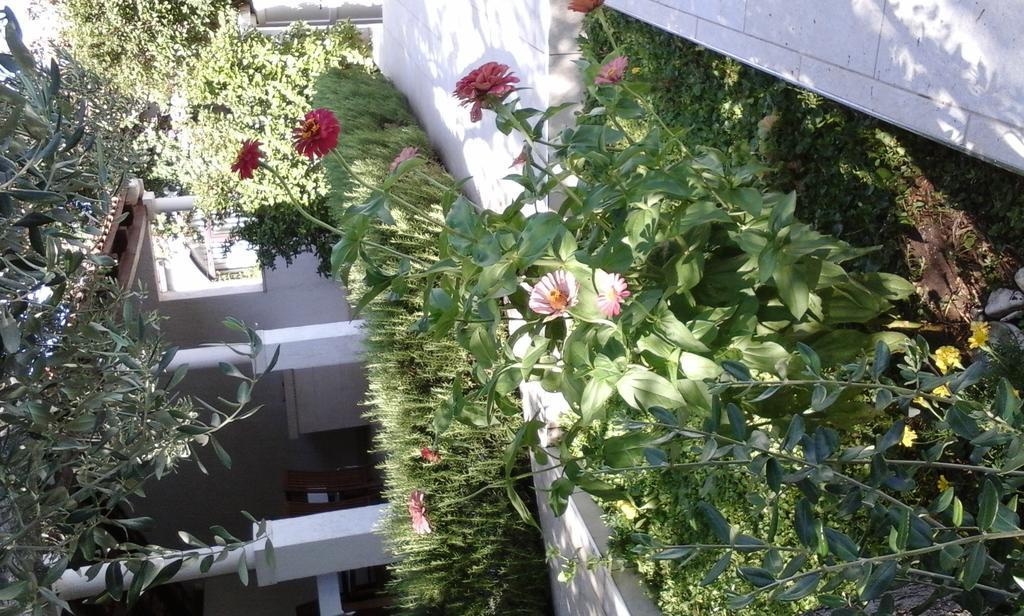 Apartment Donadini