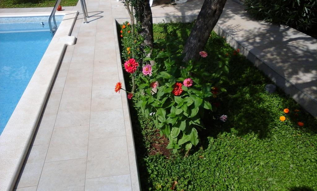 Donadini * Trogir