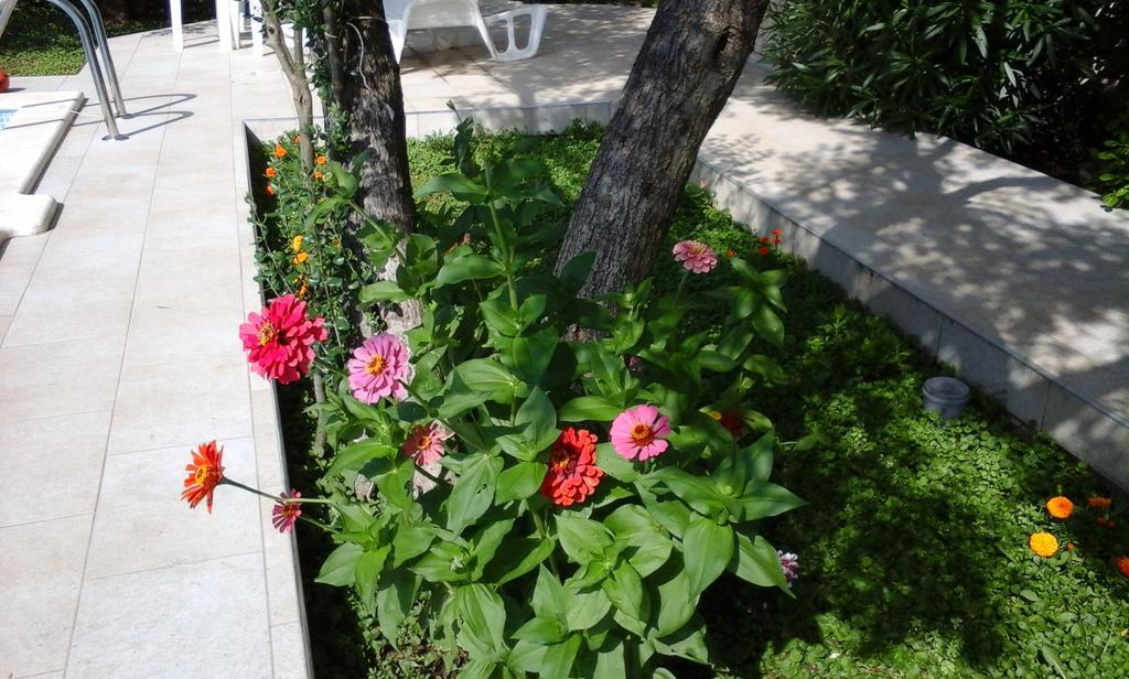 Donadini Apartment *