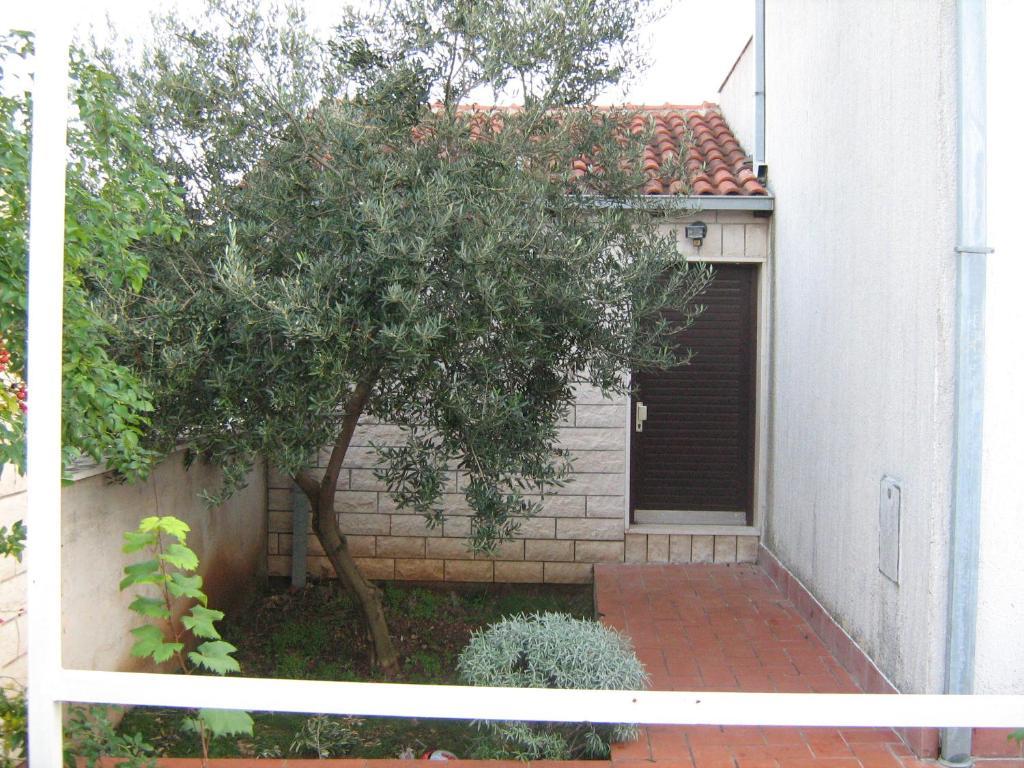 Apartment Donadini *