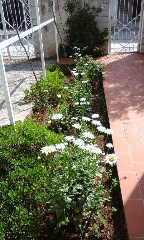 Donadini Apartment