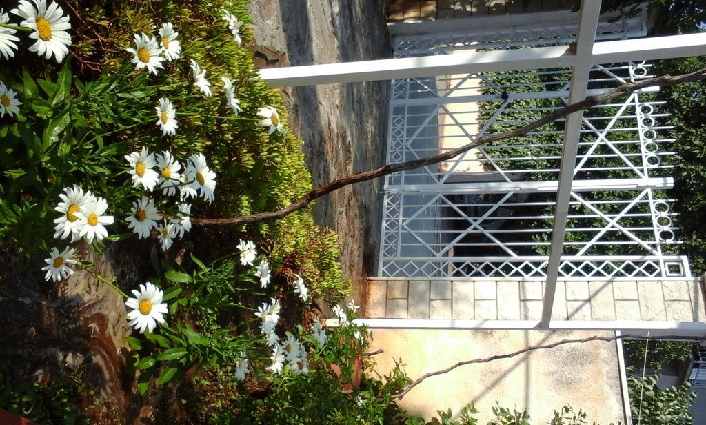 Apartment Donadini *