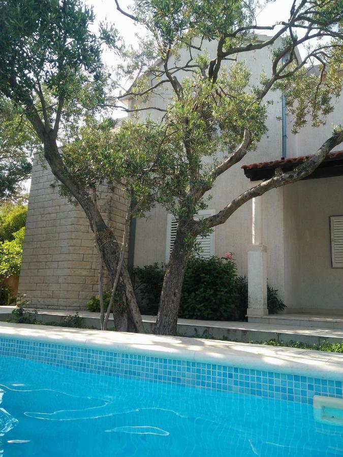 Donadini Apartment *